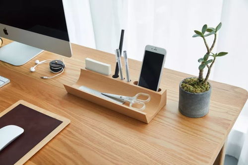 桌面一小步，事業一大步 電腦圖文設計賦能職業躍遷